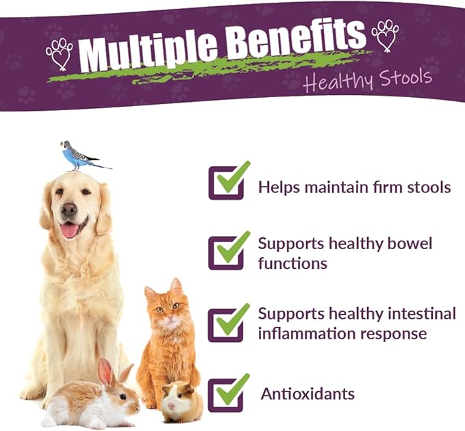Amber NaturalZ Kochi Free Herbal Supplement for Dogs, Cats, Birds, Rabbits, and Guinea Pigs | Supports Healthy Bowel Function | Natural Aid for Digestive Balance | 16 Fluid Ounce Glass Bottle