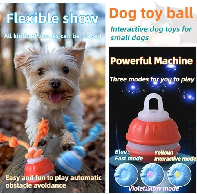 Interactive Dog Toys, Squeaky Dog Toys, Active Rolling Ball for Puppy and Medium Dogs, Squeaky, USB Rechargeable (Blue)
