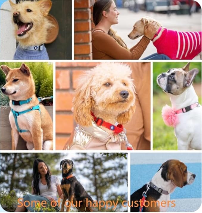 Blueberry Pet Essentials Matching Medium Adjustable & Durable Classic Solid Color Nylon Dog Collars for Medium Dogs | Mint Blue Collar for Girl & Boy Dogs