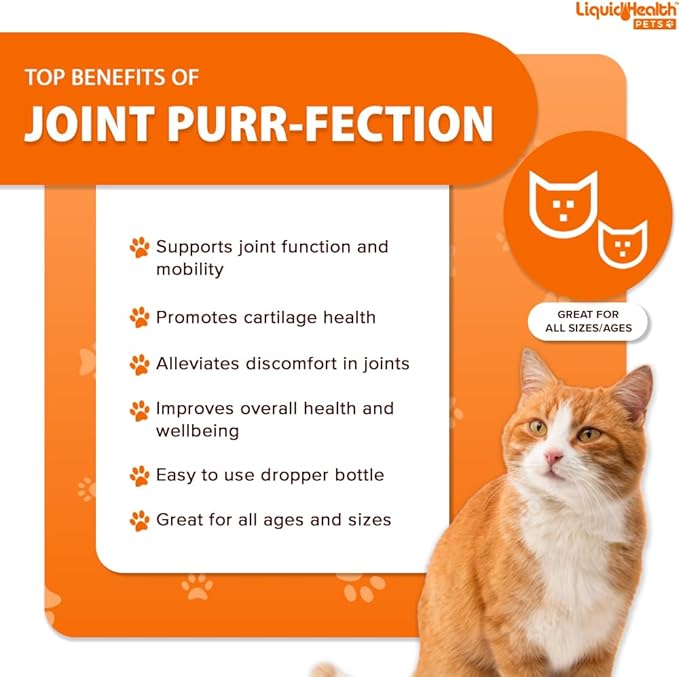 LIQUIDHEALTH Pets K9 Glucosamine Chondroitin Supplement for Dogs & Puppies & Joint Purr-Fection Hip & Joint Glucosamine Drops for Cats & Kittens - Pet Health Supplement Bundle for Mobility, USA Made