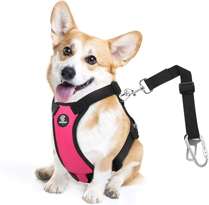 Dog Seat Belt, Safety Vest Dog Car Harness with Adjustable Buckle Dog Seat Belt for Vehicle Nylon Pet Safety Seat Belts Heavy Duty(M, Magenta)