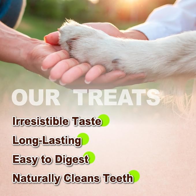Afreschi Turkey Tendon Rope (S) 6 Pieces per Pack, USA-Sourced Turkey Tendon, All Natural Human Grade Puppy Chew, Hypoallergenic, Rawhide Alternative, Dog Treats for Small Breeds