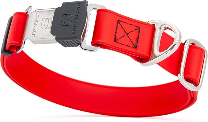 Dogline Biothane Waterproof Dog Collar with Herm Sprenger Black Stainless Steel Quick Release Buckle – Heavy Duty Tactical Durable Collar for Dogs – Comfortable and Safe Pet Collar W 3/4" L 12-19" Red