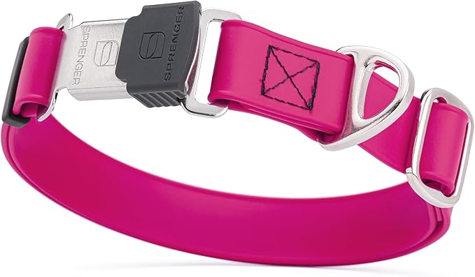 Dogline Biothane Waterproof Dog Collar with Herm Sprenger Stainless Steel Quick Release Buckle – Heavy Duty Tactical Durable Collar for Dogs – Comfortable and Safe Pet Collar, W 3/4" L 12-19", Magenta