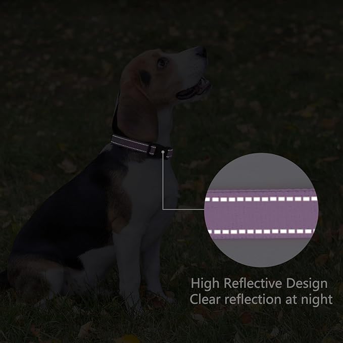 Reflective Dog Collar Padded with Soft Neoprene Breathable Quick Release Basic Dog Collars for Puppy Small Dogs Lavender