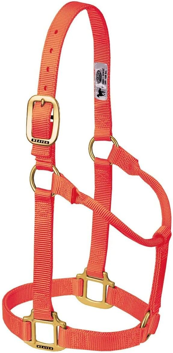 Weaver Equine Nylon Horse Halter, Triple-Ply Cheek Design, Original Non Adjustable Halters for Horses, Equine Tack,Average Size, Black
