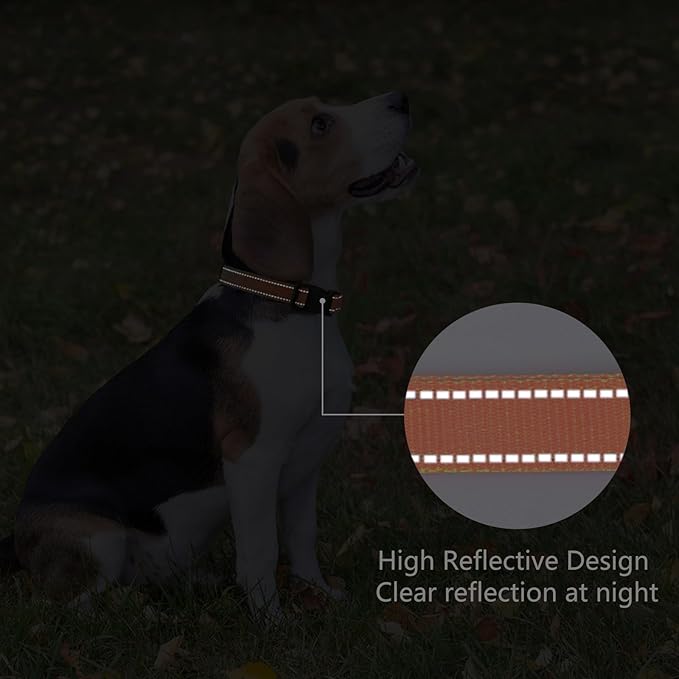 Reflective Dog Collar Padded with Soft Neoprene Breathable Quick Release Basic Dog Collars for Puppy Small Dogs Orange