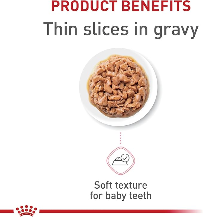 Royal Canin Feline Health Nutrition Kitten Thin Slices in Gravy Canned Cat Food, 3 oz can (6-pack)
