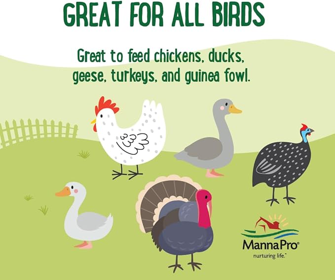 Manna Pro Farmhouse Favorites Beetle Bliss Poultry Treat – Blend of Mealworms and Beetles – All Natural Treat for Chickens, Ducks, Geese, Turkeys, & Guinea Fowl – 45% Protein – 25oz