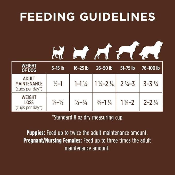 Original Salmon Dry Dog Food, 20 lb. Bag