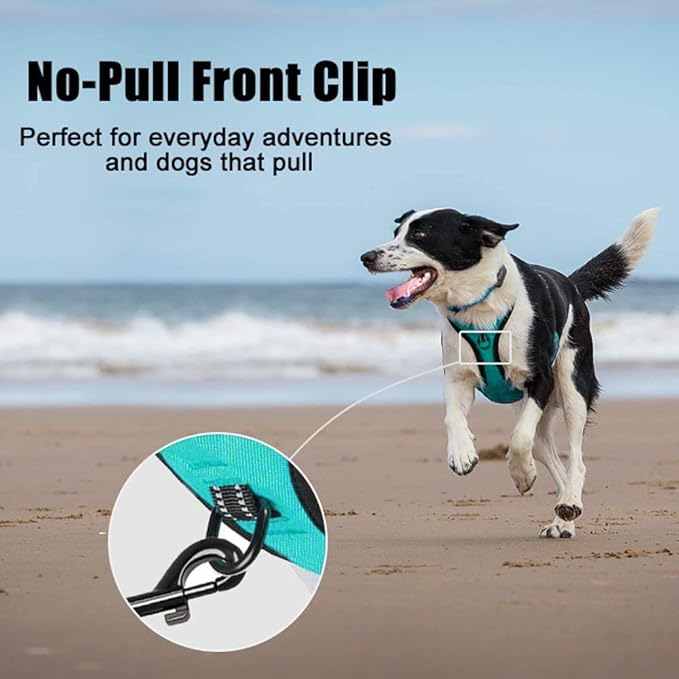 PoyPet No Pull Dog Harness, Reflective Comfortable Vest Harness with Front & Back 2 Leash Attachments and Easy Control Handle Adjustable Soft Padded Pet Vest for Small to Large Dogs (Mint Blue,XS)