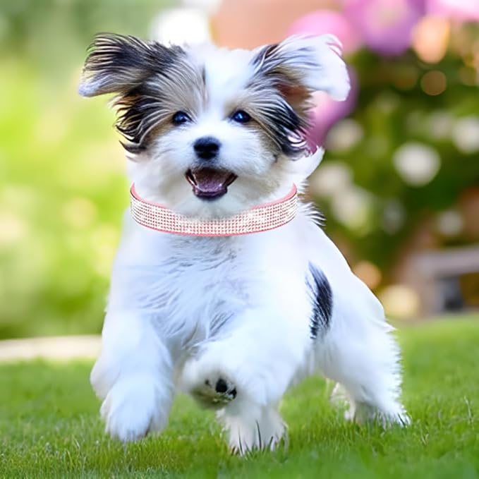 Rhinestone Dog Collar for Small Dogs, Bling Diamond Fancy Crystal Glitter Pretty Jewel Pet Puppy Collars for XXS XS Small Medium Large Breed Girl Dogs Female Cats Kitten, Blue XL