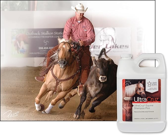 UltraCruz® Equine Shampoo Plus for Horses, 1 gal