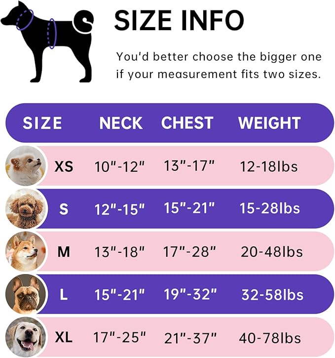 IVY&LANE No Pull Dog Harness for Large Dogs, Dog Vest Harness with Leash, Safety Belt and Storage Strap, Fully Adjustable Harness, 360° Reflective Strip, Soft Handle (Pink, XL)