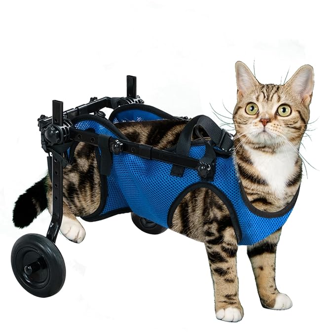 Pet Wheelchair Dog Leg Brace and Hip Support， Wheelchair for Back Legs，Adjustable Pet Cart，Assist a paralyzed pet get Back on its feet，Support Leg Brace and Hip (Extra Small)