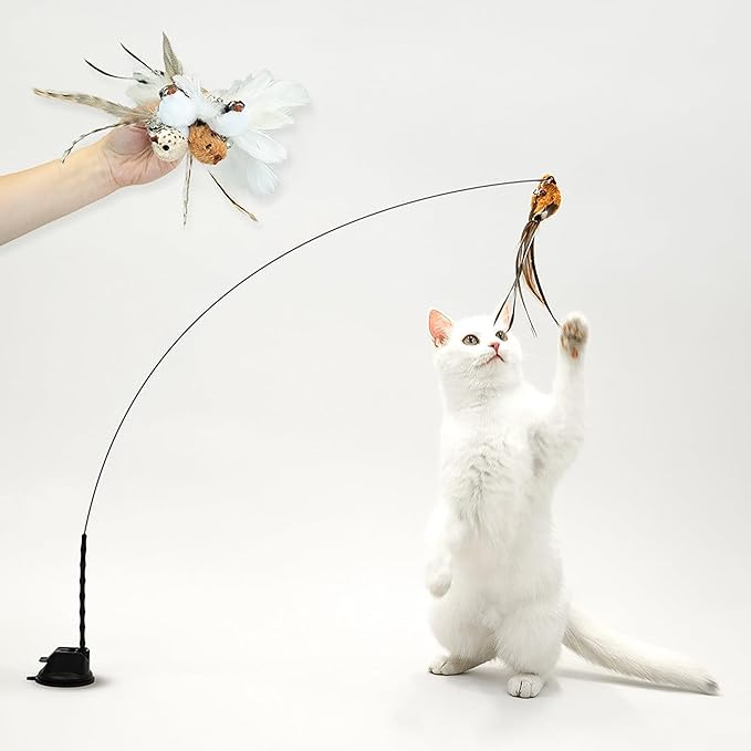 Leo's Paw The Original Interactive Bird Simulation Cat Toy Set Realistic Colorful Feathers Bells Wand Self-Holding Suction Base Stimulating Real-Life Flying Bird Impression Hunting Play (w. 5 Birds)