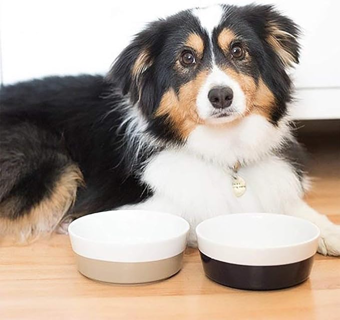 Waggo Dipper Ceramic Dog Bowl for Small and Large Breeds - Heavyweight and Durable Pet Food and Water Dish Crock, Dishwasher Safe, Modern (Vintage Grey, Medium)