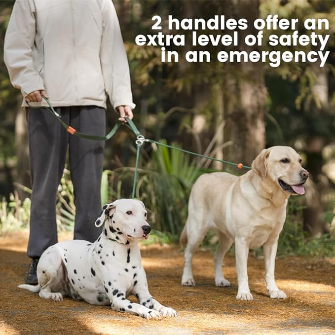 Howgo Double Slip Leash Slip Lead with Two Handles| Dual Dog Slip Lead for 2 Dogs,360° Swivel No Tangle | Dog Training Collar | Double Clip Leash Coupler and Splitter (MintGreen, 6FT)
