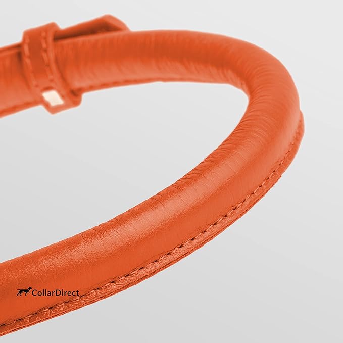 CollarDirect Rolled Leather Dog Collar, Soft Padded Round Puppy Collar, Handmade Genuine Leather Collar Dog Small Large Cat Collars 13 Colors (8-11 Inch, Orange Textured)