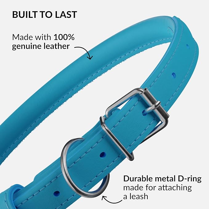 CollarDirect Rolled Leather Dog Collar, Soft Padded Round Puppy Collar, Handmade Genuine Leather Collar Dog Small Large Cat Collars 13 Colors (15-19 Inch, Light Blue)