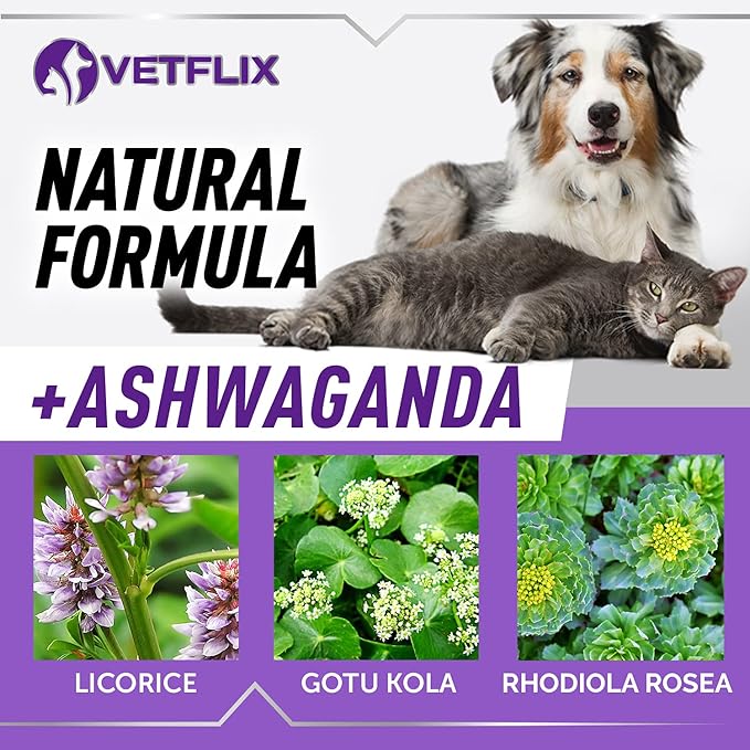 Pet Adrenal Support for Dogs & Cats - Made in USA - Cushings Treatment for Dogs - Cat & Dog Supplement for Kidney Support - 2 Fl Oz