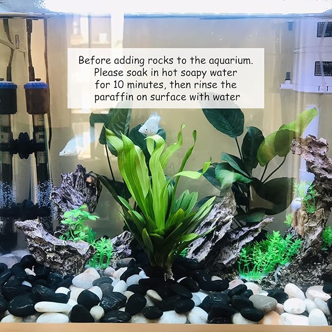 5 lbs Polished Black Pebbles for Indoor Plants, 0.8-1.2 Inch Decorative Black River Rocks for Plants Aquarium Planter Vase Fillers Landscaping and Garden Black Stones
