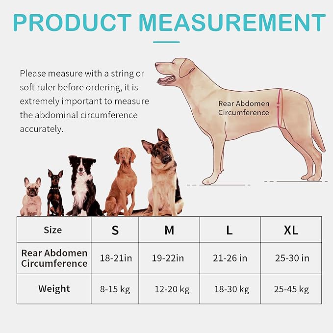 Dog Lift Harness for Large Dogs – Hind Leg Support Sling for Muscle Atrophy, Joint Pain, and Senior Pets, Adjustable Design Helps with Walking, Stairs, and Daily Mobility, L