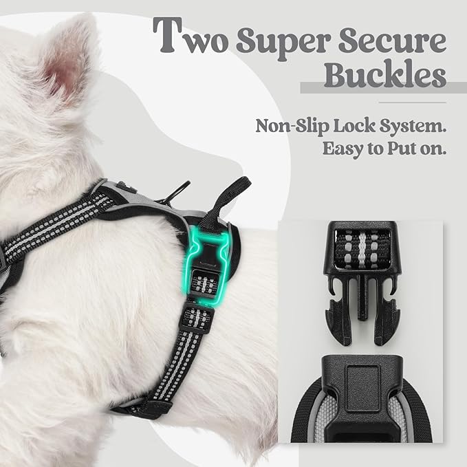 rabbitgoo Dog Harness No Pull with 2 Leash Clips, Adjustable Soft Padded, Reflective Oxford No Choke Pet Vest with Easy Control Handle for Puppy, Grey, XS