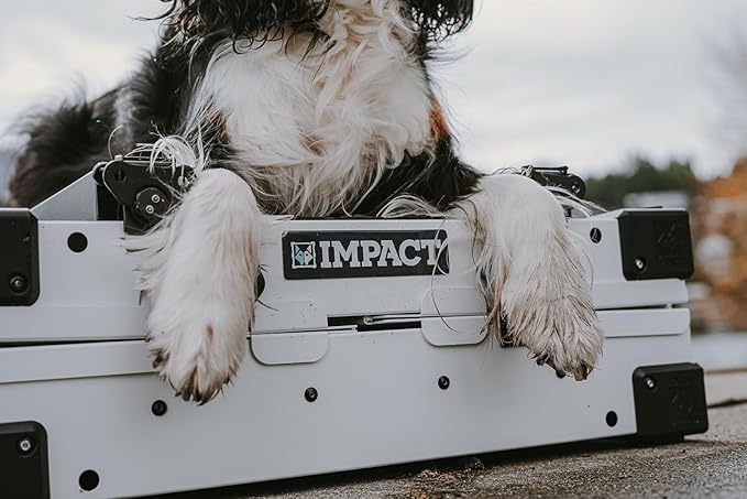 Impact Collapsible Dog Crate - Foldable Hard Crate for Extra Large Dogs - Heavy Duty Travel Kennel with Powder-Coated Aluminum - Quick Setup for Indoor & Outdoor (White, 40"+ (40.5" L x 27.5”W x 34" H