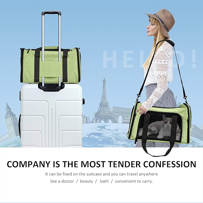 Large Cat Carriers Dog Carrier Pet Carrier for Large Cats Dogs Puppies up to 25Lbs, Big Dog Carrier Soft Sided, Collapsible Travel Puppy Carrier - Large - Green