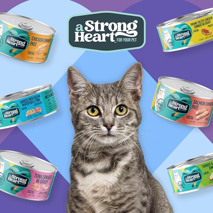A Strong Heart Canned Wet Cat Food, Chicken & Salmon Dinner in Gravy - 5.5 oz Cans (Pack of 24), Made in The USA with Real Chicken & Salmon