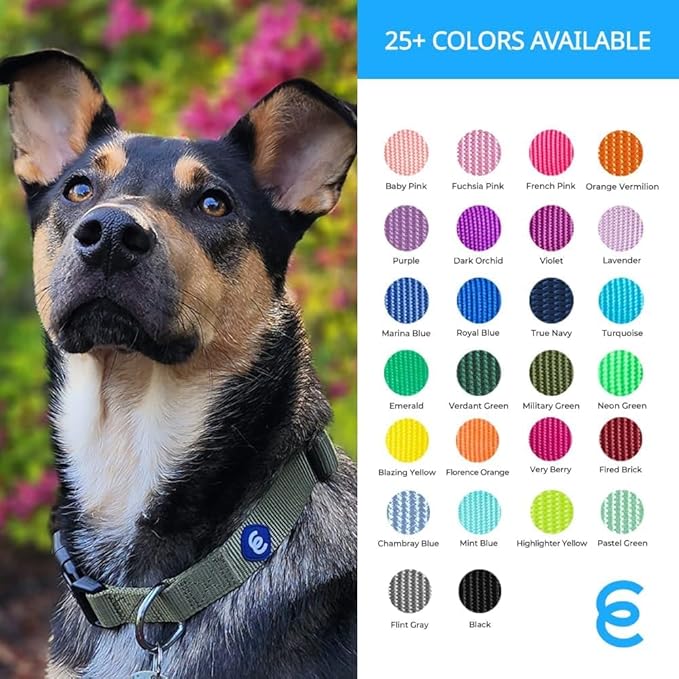 Blueberry Pet X-Small Dog Collar | Dog Collars for Small Dogs | Hot Pink Durable Quick Release Collar | Eco-Friendly French Pink Collar for Female Puppies | Safe Nylon Pet Collar