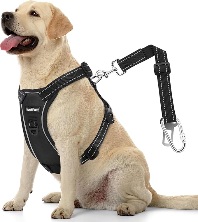 Dog Seat Belt Harness for Car, Dog Car Harness Adjustable Mesh Breathable & Dogs Seatbelt Safety Tether with Elastic Bungee for Small Medium Large Pets(Carbon Black, XL)