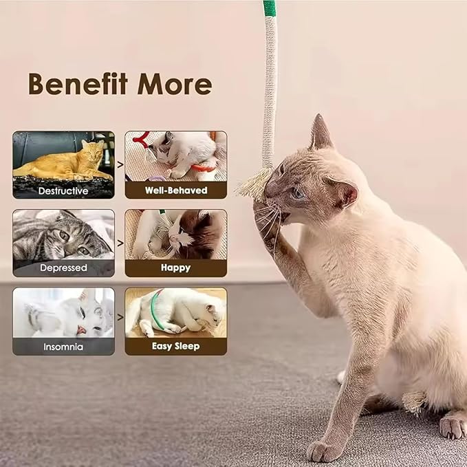 Celery Pets Cat Chew Rope,Catnip-Infused Organic Cotton Chew Rope Toys for Cats, Soft & Safe Dental Chew Toys for Indoor Cats, Self-Play and Teeth Cleaning (3PCS)