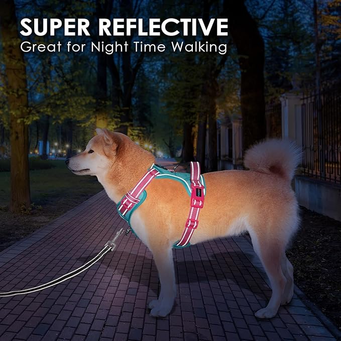 PHOEPET No Pull Dog Harness, Unique Colors Reflective Adjustable Dog Vest, with Soft Training Handle Metal Clips for Small Medium Large Dogs (Mint Green Base & Pink Straps,M)