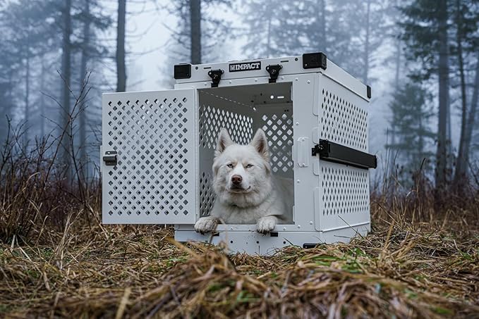 Impact Collapsible Dog Crate - Foldable Hard Crate for Intermediate Dogs - Heavy Duty Travel Kennel with Powder-Coated Aluminum - Quick Setup for Indoor & Outdoor (Gray, 34" (34.5" L x 23" W x 29" H))