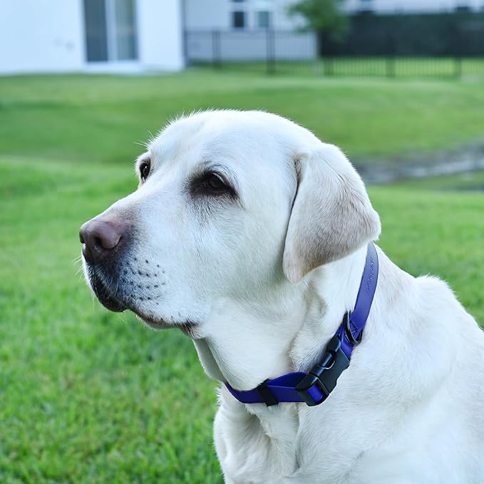 Dogline Biothane Waterproof Dog Collar with Quick Release Buckle Strong Coated Nylon Webbing with Odor- Proof for Easy Care Easy to Clean Fits Small Medium or Large Dogs, Royal Blue 1" W 15-23" L