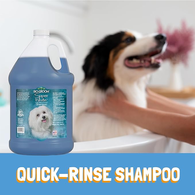 BioGroom Super White Shampoo (32 fl oz)