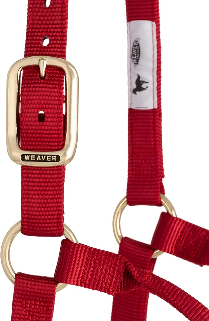 Weaver Equine Nylon Horse Halter, Triple-Ply Cheek Design, Original Non Adjustable Halters for Horses, Equine Tack,Average Size, Black
