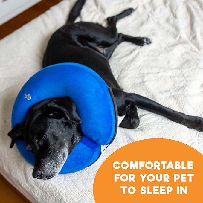 BENCMATE Inflatable Dog Cone Collar Alternative, Soft Dog Cone for Small Medium Large Dogs and Cats, Neck Recovery ECollar Donut Collar After Surgery (Large+, Blue)