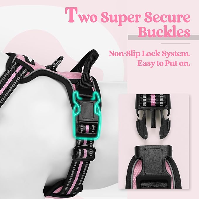 rabbitgoo Dog Harness No Pull with 2 Leash Clips, Adjustable Soft Padded, Reflective Oxford No Choke Pet Vest with Easy Control Handle for Small Dogs, Pink, S