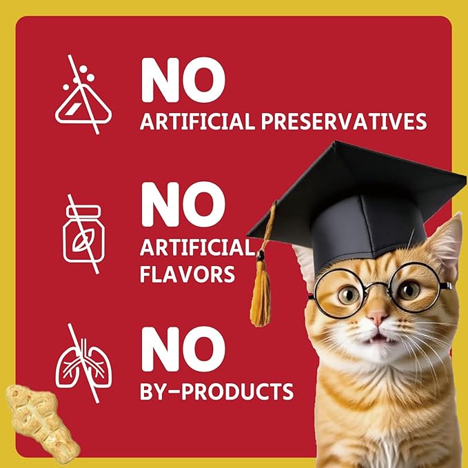 1.1lb / 500g Cat Grass Treats for Indoor Cats - 17.6 oz Natural Chicken Flavor, Healthy Snacks for All Life Stages, Crunchy Training Biscuits with Dental Care & Hairball Control