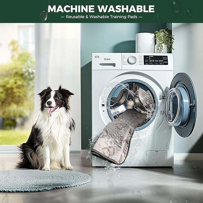 FXW Washable Pee Pads for Dogs, Puppy Pads with Super Absorbent, Specifically Designed for 42inch Cages, Rectangle, 41" x 27", 2 Packs