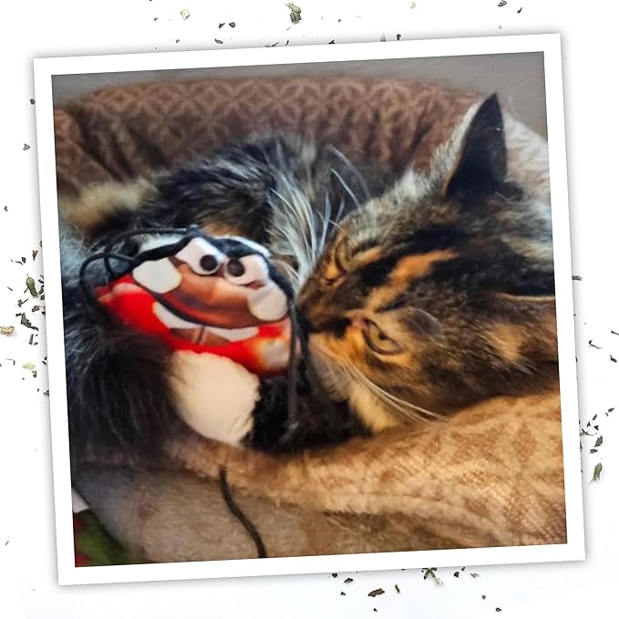 Meowijuana Refillable Cat Toys | Get Sprung - Ladybug and Mushroom Catnip Toys | Includes Potent Hand Harvested Catnip Grown in North America | Promotes Play and Cat Health