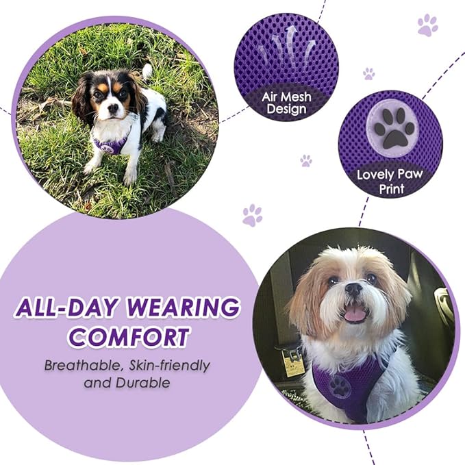 Lukovee Dog Seat Belt for Car, Adjustable Dog Car Harness for Large Medium Small Dogs, Soft Padded & Breathable Mesh Dog Seatbelt with Car Strap and Carabiner(Purple Double Clip,XX-Small)