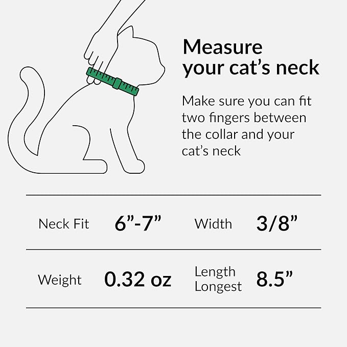 CollarDirect Leather Cat Collar with Bell - Kitten Collar, Small and Big Cat Collar for Boy Cats, Girl Cats with Safety Elastic Strap (Neck Fit 6"-7", Navy Blue)