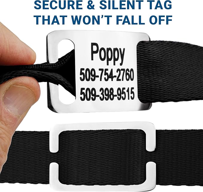 GoTags Personalized Dog Collar with Nameplate, Adjustable Dog Collar with Custom Engraved Slide On Pet ID Tag in Stainless Steel, Silent, No Noise Dog Tag for Large Medium and Small (Black, Medium)