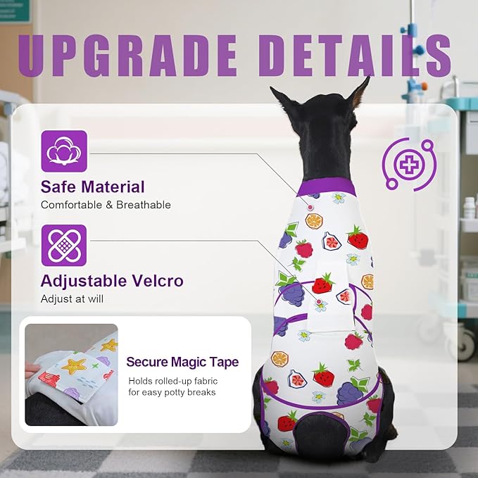 Recovery Suit for Dogs After Surgery, Professional Dog Surgical Suit for Female Spay, Male Neuter, E-Collar & Cone Alternative Dog Onesie for Abdominal Wounds Skin Disease, Purple, S