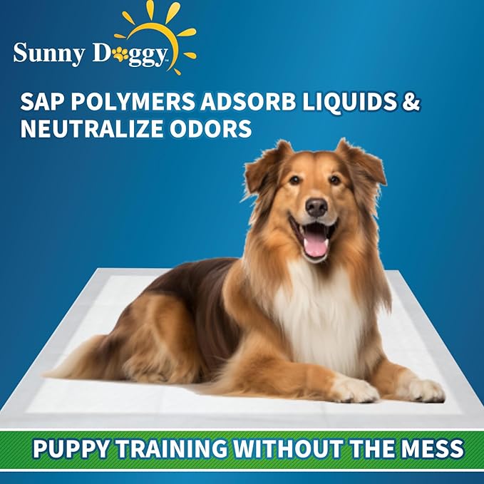 Pee Pads for Dogs Large 22”x 22”, 120 Count Puppy Pads Pet Training Pads Disposable Upgraded Odor Control, Potty Pads Absorbent and Leak-Proof Dog Housebreaking & Puppy Supplies