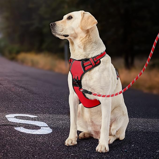 IVY&LANE No Pull Dog Harness for Medium Dogs, Dog Vest Harness with Leash, Safety Belt and Storage Strap, Fully Adjustable, 360 Reflective Strip, Soft Handle (Red, M)